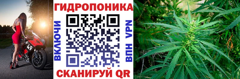 Как найти наркотики Тобольск МАРИХУАНА  COCAIN  Alpha-PVP  Меф мяу мяу  ГАШ 