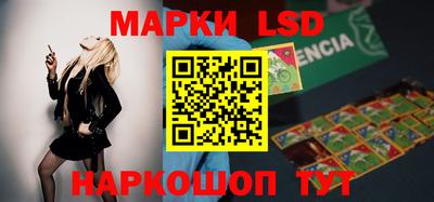 мдпв Новозыбков